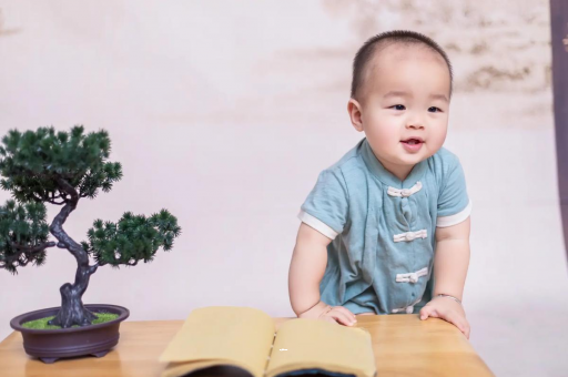 巴彦淖尔可爱的企鹅宝宝